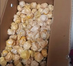 柏馋【顺丰】黄姑娘果新鲜5斤 甜菇娘果 黄菇茑儿 灯笼果 5斤（礼盒装） 实拍图