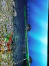 伊罕EHEIM 鱼缸过滤桶外置水族箱过滤器 经典国际滤材版 3年质保 经典 250 （国际滤材版）适合45-60cm鱼缸 晒单实拍图
