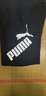 彪马（PUMA）男裤 26春季新款运动裤子跑步训练户外梭织舒适长裤小脚裤束口裤 685639-51 XL 185 【推荐体重160-180斤】 实拍图