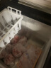 SAST小冰柜 家用小型迷你冷柜冷藏冰箱母乳柜保鲜冷冻柜储奶节能 [变温冰柜 全国联保]BC/BD-169S208L 实拍图