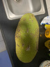 保蓉生鲜水果俱乐部海南菠萝蜜新鲜水果现发精品黄肉菠萝蜜 10-14斤 菠萝蜜 实拍图