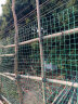 禄昇琪（LUSHENGQI）铁丝网荷兰网防护网养殖围网隔离网围栏网2.5mm*1.2米高*30米长 晒单实拍图