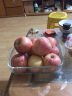 佳农 山东烟台红富士苹果 12个装 优质果 单果重约200g 生鲜水果 年货节 实拍图