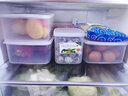 家の物语（KATEI STORY）日本进口冰箱保鲜盒塑料密封盒食品级冷冻饺子盒微波炉加热饭盒 1.6L 三个装 实拍图
