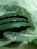 墨斗鱼 园艺加仑花盆矮款3件装2加仑 种植植物多肉花卉绿萝绿植全新PP树脂加仑塑料简约圆形花盆送花盆托盘 实拍图