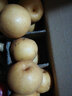 译优农山东莱阳丰水梨新鲜当季水果冰糖雪梨黄金蜜梨现摘整箱 净重4.5-5斤大果【精品装】 实拍图