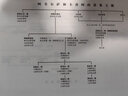 汗青堂丛书093·西西里的诺曼王朝Ⅰ：征服 1016—1130 实拍图