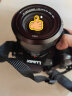 松下GH6 微单/单电无反数码相机 专业视频拍摄C4K vlog相机 M43画幅旗舰机 GH6L【12-60mmF2.8-4徕卡镜头】套机 晒单实拍图