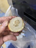 舅甜果蔬正宗海南红毛丹（顺丰空运可送到家）7号红毛丹鲜果树熟毛荔枝 5斤（净重4.5斤） 臻选出口一级果 实拍图