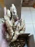 京地达山东姜蒜组合 净重3斤 生姜 大蒜 调料新鲜蔬菜 源头直发包邮 实拍图