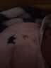 嘉贝艾尔婴儿衣服秋冬装厚款棉衣婴儿连体衣男女宝宝衣服0-1岁哈衣爬服 白色小象 59cm(建议6-8斤) 实拍图