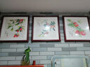 紫腾随轩白菜装饰画餐厅挂画新中式客厅沙发背景墙画饭厅墙面壁画 金玉满堂 40*40cm红木色实木框 实拍图