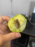 青惠悠泰国酸脆生吃芒果象牙芒蘸酱无纸核青绿芒果云南酸野特产水果顺丰 生吃芒果1斤+[蘸料] 实拍图