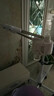 TODOM 喷雾补水仪 冷热双喷蒸脸器美容院喷雾机家用面部保湿器美容仪器 定时款白色店长推荐 实拍图