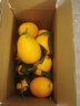 玫栀奉节甜脐橙 正宗重庆新鲜伦晚甜橙子口感胜过纽荷尔礼盒装 80mm(含)-85mm（不含） 10斤（彩箱礼盒装） 实拍图