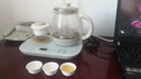 小熊（Bear） 煮茶器配件 煮茶壶养生壶烧水壶茶杯壶身盖子通用 ZCQ-A08E1 茶杯 实拍图