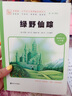 绿野仙踪  小学生课外阅读 无障碍阅读 新版 彩绘注音版 智慧熊图书 实拍图