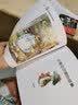 世界经典童话绘本：彼得兔的故事（套装全3册）3-6岁 实拍图