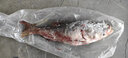 品吉味【吉林特产馆】东北特产  查干hu冬捕胖头鱼 淡水湖鱼 顺丰空运 7-8斤 1条 礼盒装 实拍图