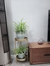 好铁匠 北欧客厅花架ins花架子简约绿萝落地式轻奢多层室内花盆架多肉架 1185金色小号直径25*高50 实拍图