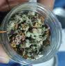 塞上天香苹果花茶泡水泡茶干花草茶青春不留不痘可配玫瑰花茶茉莉花茶 25g*1罐 实拍图