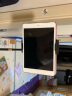 京东京造  手机支架落地平板电脑支架iPad Pro懒人支架床头床上直播神器网课复试拍摄自拍拍照俯拍支撑架子 实拍图