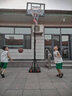 双航篮球架 室内可升降青少年篮球架可移动球架户外篮球架标准篮球框 0332白色板-篮筐高度135-260cm 实拍图