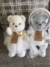 莉娜熊（TeddyTales）宇航员熊情侣毛绒玩偶公仔 结婚压床娃娃一对 婚庆高档新款礼物女 宇航员新郎+新娘 中号 晒单实拍图