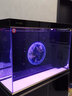 森森（SUNSUN）大型鱼缸水族箱免换水客厅风水家用下滤底过滤鱼缸 时尚新款1.0米长34.6cm宽底滤(黑白灰可选) 实拍图