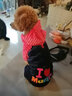宠物圈（PETCIRCLE）秋季冬季狗狗衣服泰迪衣服宠物服饰狗衣服宠物泰迪狗狗衣服小型犬 爱心款粉色 L适合背长38CM胸围52CM重斤11-14 实拍图