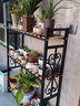 金羡花架阳台实木多层多肉绿萝室内花架子大盆景落地式铁艺花盆架带轮 四层长60*宽30*高180黑架+碳烤木 实拍图