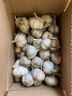 亨泰丰源贝贝小南瓜正宗淡淡板栗味 粉糯香甜老少皆宜新鲜蔬菜茄果瓜 净重 3斤 新鲜贝贝小南瓜 实拍图