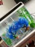 美吉氏 鱼缸造景仿真荷花水草水族箱装饰前景布景套餐摆件 夫妻树冰雪蓝 实拍图
