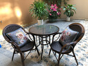 紫叶户外桌椅组合阳台藤椅三件套花园露天露台室内餐桌室外庭院休闲椅 4【曼哈顿藤椅】+1【长桌150X90】 实拍图