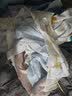 舒贝怡儿童睡衣新春秋款家居服宝宝衣服内衣套装男女纯棉秋衣秋裤粉90CM 实拍图