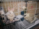 新款兔笼R81防喷尿大号兔子笼窝荷兰猪兔房子豪华抽屉式方便清扫 达洋R81兔笼(蓝色) 晒单实拍图
