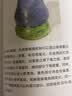 彩铅画的极致表现 实拍图