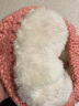 檞寄生 毛线帽子女冬天学生韩版猫耳朵甜美可爱加厚保暖针织帽 粉色 晒单实拍图