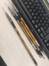 英雄（HERO）毛笔大中小狼毫毛笔书法楷书行书毛笔 初学国画笔A0301\/A0302\/A0303 A0303-小 实拍图
