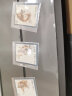四地藏品  T字头邮票 T25-T48 邮票 套票 收藏 T40 东北虎邮票 套票 实拍图
