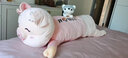艾筱扬【当次日达】小猪猪抱枕公仔娃娃毛绒玩具睡觉抱七夕情人节礼物女 粉色眯眼（开心每一天） 1.2米 实拍图