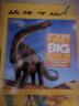 美国国家地理儿童百科 恐龙 National Geographic Little Kids First Big Book of Dinosaurs 进口原版 少年儿童科普 大开本 实拍图