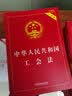 中华人民共和国工会法（实用版）（2022年版） 实拍图