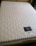 海馬喜贏門天然乳胶3E椰棕床垫加硬胶榻榻米炕垫软硬护脊学生宿舍上下铺床垫 7cm厚|3cm3E+1cm乳胶+拉链白色 1350*2000 实拍图