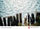中一（zhongyi） 中一光学90mm F1.5全画幅微单人文旅拍适用于M\RF\FE\Z\L口 徕卡M黑色 标配 实拍图