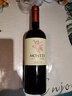 MONTES智利进口蒙特斯限量版小天使葡萄酒750ML 马尔贝克单支 实拍图