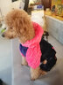 宠物圈（PETCIRCLE）秋季冬季狗狗衣服泰迪衣服宠物服饰狗衣服宠物泰迪狗狗衣服小型犬 爱心款粉色 L适合背长38CM胸围52CM重斤11-14 实拍图