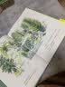 我是小花匠 让孩子学会负责 3-6岁 蒲蒲兰绘本 实拍图