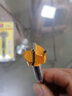东成 电动工具附件硬质合金木工开孔器木工钻头扩孔工具 17mm 实拍图