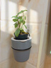 欧林泽 绿萝植物壁挂花盆 自动吸水墙壁挂式 免浇水 仿陶瓷家居创意挂件 阳台厨房挂式个性懒人盆 莫迪灰中号/直径13X高14厘米 实拍图